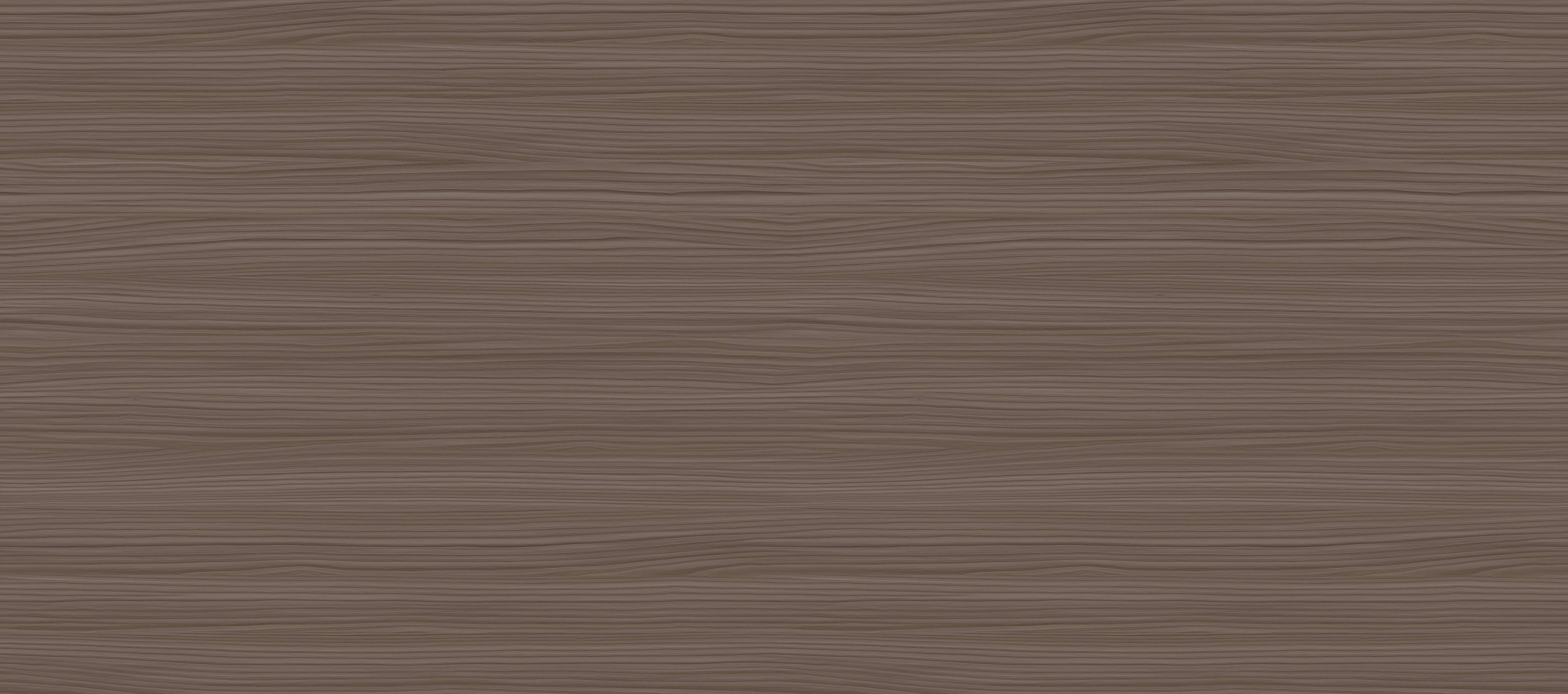 金絲栗木