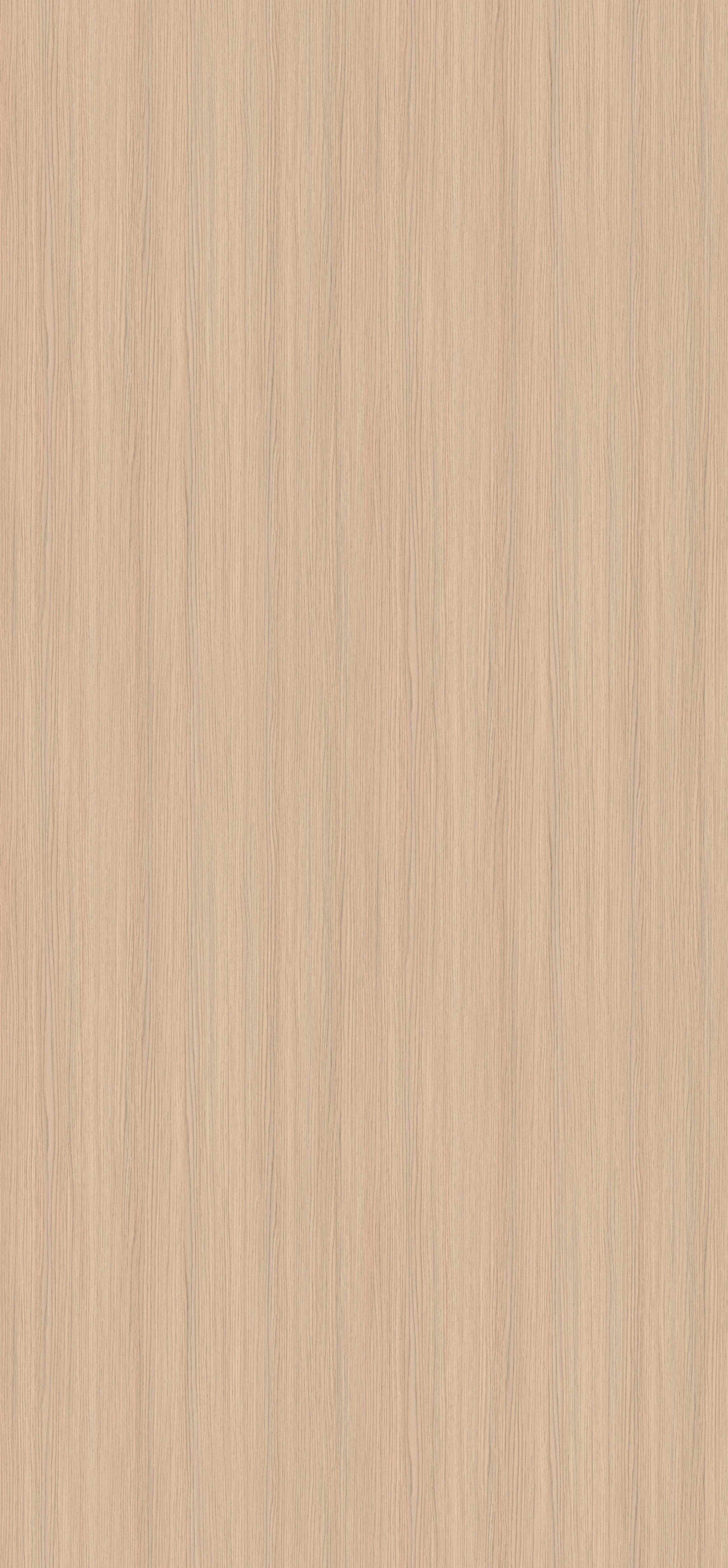 晨曦橡影